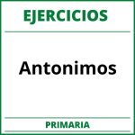 Ejercicios Antonimos Primaria PDF