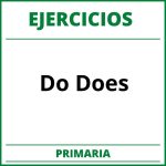 Ejercicios Do Does Primaria PDF