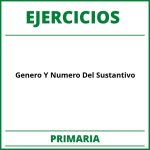 Ejercicios Genero Y Numero Del Sustantivo Primaria PDF