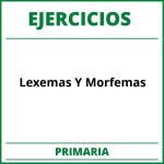 Ejercicios Lexemas Y Morfemas Primaria PDF