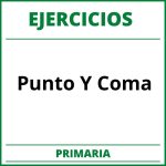 Ejercicios Punto Y Coma Primaria PDF